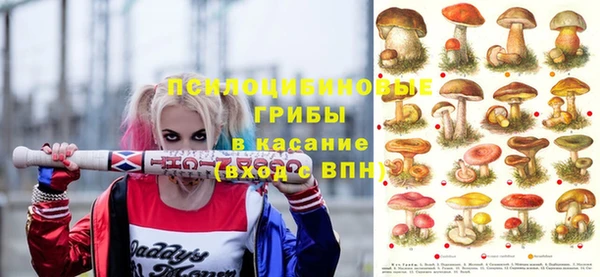эйфоретик Горняк