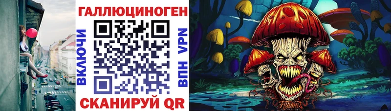 магазин продажи наркотиков  Нариманов  Галлюциногенные грибы Psilocybe 